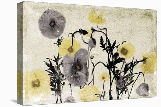 Stone Wash Poppies-Jace Grey-Stretched Canvas
