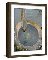 Stone Water Feature, Japan-David Poole-Framed Photographic Print