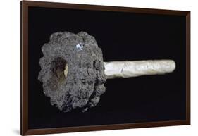 Stone Weapon Used by Indigenous People of Costa Rica-null-Framed Giclee Print