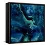 Stone with Blue and Green-Danielle Carson-Framed Stretched Canvas