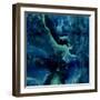 Stone with Blue and Green-Danielle Carson-Framed Art Print