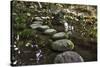Stone Zen Path-Fyletto-Stretched Canvas