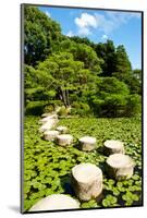 Stone Zen Path-Fyletto-Mounted Photographic Print