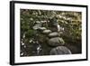 Stone Zen Path-Fyletto-Framed Photographic Print