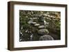 Stone Zen Path-Fyletto-Framed Photographic Print