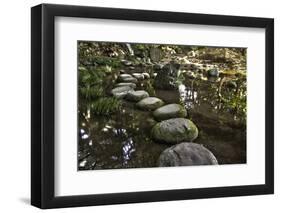 Stone Zen Path-Fyletto-Framed Photographic Print