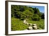 Stone Zen Path-Fyletto-Framed Photographic Print