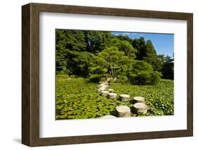 Stone Zen Path-Fyletto-Framed Photographic Print