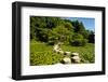 Stone Zen Path-Fyletto-Framed Photographic Print