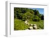 Stone Zen Path-Fyletto-Framed Photographic Print