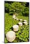 Stone Zen Path-Fyletto-Mounted Photographic Print