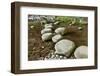 Stone Zen Path-Fyletto-Framed Photographic Print