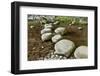 Stone Zen Path-Fyletto-Framed Photographic Print