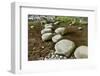 Stone Zen Path-Fyletto-Framed Photographic Print