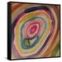 Stone-Sylvie Demers-Framed Stretched Canvas