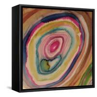 Stone-Sylvie Demers-Framed Stretched Canvas
