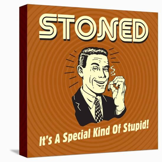 Stoned it's a Special Kind of Stupid!-Retrospoofs-Stretched Canvas