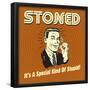 Stoned it's a Special Kind of Stupid!-Retrospoofs-Framed Poster