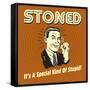 Stoned it's a Special Kind of Stupid!-Retrospoofs-Framed Stretched Canvas