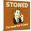 Stoned it's a Special Kind of Stupid!-Retrospoofs-Mounted Premium Giclee Print