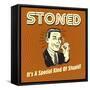 Stoned it's a Special Kind of Stupid!-Retrospoofs-Framed Stretched Canvas