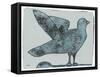 Stoned Pigeon 13-Maria Pietri Lalor-Framed Stretched Canvas