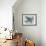 Stoned Pigeon 13-Maria Pietri Lalor-Framed Giclee Print displayed on a wall