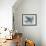Stoned Pigeon 13-Maria Pietri Lalor-Framed Giclee Print displayed on a wall