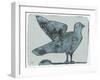 Stoned Pigeon 13-Maria Pietri Lalor-Framed Giclee Print