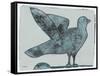 Stoned Pigeon 13-Maria Pietri Lalor-Framed Stretched Canvas