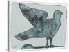 Stoned Pigeon 13-Maria Pietri Lalor-Stretched Canvas