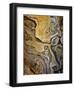 Stoneface-David Lorenz Winston-Framed Art Print