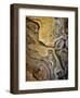 Stoneface-David Lorenz Winston-Framed Art Print