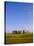 Stonehenge, Ancient Ruins, Wiltshire, England, UK, Europe-John Miller-Stretched Canvas