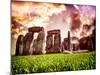 Stonehenge - Historic Wessex - Shrewton - Wiltshire - English Heritage - UK - England-Philippe Hugonnard-Mounted Photographic Print