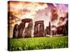 Stonehenge - Historic Wessex - Shrewton - Wiltshire - English Heritage - UK - England-Philippe Hugonnard-Stretched Canvas