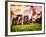 Stonehenge - Historic Wessex - Shrewton - Wiltshire - English Heritage - UK - England-Philippe Hugonnard-Framed Photographic Print