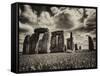 Stonehenge - Historic Wessex - Shrewton - Wiltshire - English Heritage - UK - England-Philippe Hugonnard-Framed Stretched Canvas