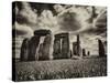 Stonehenge - Historic Wessex - Shrewton - Wiltshire - English Heritage - UK - England-Philippe Hugonnard-Stretched Canvas