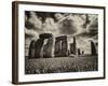 Stonehenge - Historic Wessex - Shrewton - Wiltshire - English Heritage - UK - England-Philippe Hugonnard-Framed Premium Photographic Print