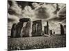 Stonehenge - Historic Wessex - Shrewton - Wiltshire - English Heritage - UK - England-Philippe Hugonnard-Mounted Photographic Print