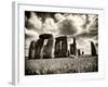 Stonehenge - Historic Wessex - Shrewton - Wiltshire - English Heritage - UK - England-Philippe Hugonnard-Framed Photographic Print