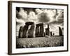 Stonehenge - Historic Wessex - Shrewton - Wiltshire - English Heritage - UK - England-Philippe Hugonnard-Framed Photographic Print