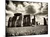 Stonehenge - Historic Wessex - Shrewton - Wiltshire - English Heritage - UK - England-Philippe Hugonnard-Mounted Photographic Print