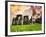 Stonehenge - Historic Wessex - Shrewton - Wiltshire - English Heritage - UK - England-Philippe Hugonnard-Framed Photographic Print