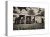 Stonehenge - Historic Wessex - Shrewton - Wiltshire - English Heritage - UK - England-Philippe Hugonnard-Stretched Canvas