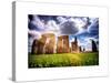 Stonehenge - Historic Wessex - Shrewton - Wiltshire - English Heritage - UK - England-Philippe Hugonnard-Stretched Canvas