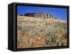 Stonehenge Memorial-Steve Terrill-Framed Stretched Canvas