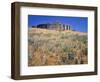 Stonehenge Memorial-Steve Terrill-Framed Photographic Print