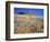 Stonehenge Memorial-Steve Terrill-Framed Photographic Print